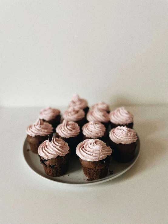 a plate of chocolate cupcakes with pink frosting, a picture, by Carey Morris, pexels, taken on iphone 14 pro, 🍸🍋, indoor, maroon and white