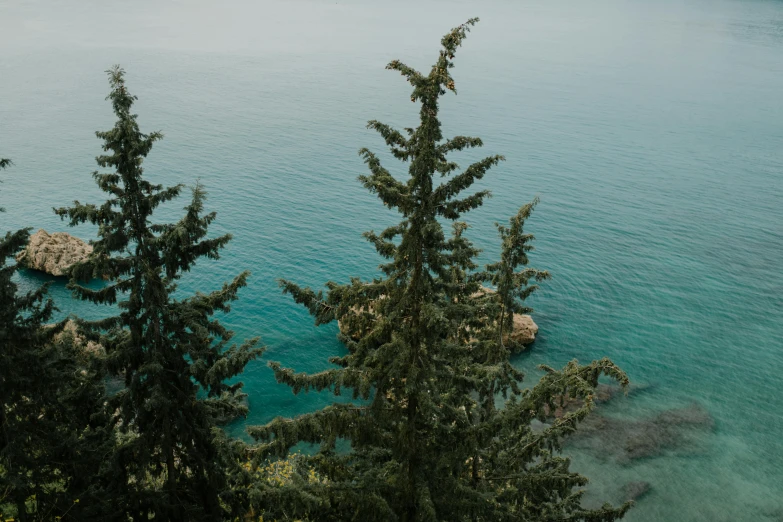 a couple of pine trees sitting next to a body of water, inspired by Elsa Bleda, unsplash contest winner, black sea, high - angle view, hd footage, cinematic shot ar 9:16 -n 6 -g