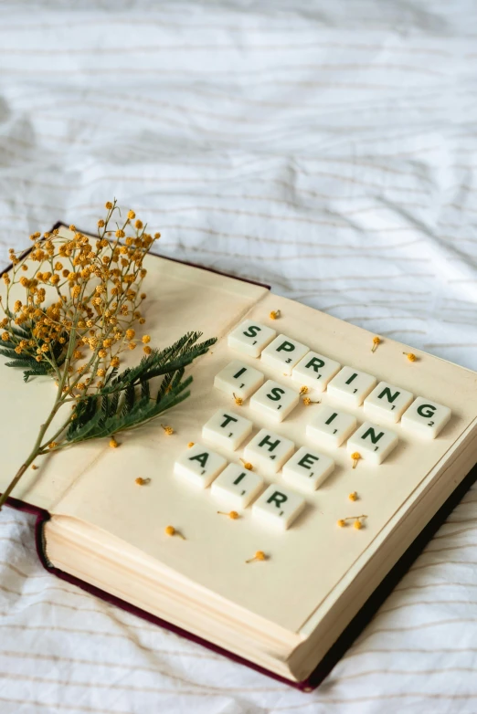 an open book sitting on top of a bed next to a flower, by Julia Pishtar, trending on unsplash, made of all white ceramic tiles, letters, 3 are spring, 2000s photo