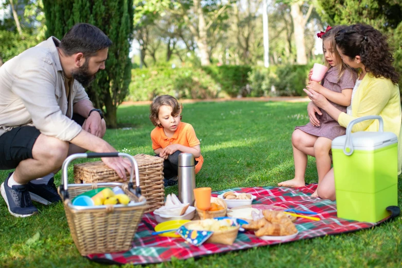 a family having a picnic in the park, by Giuseppe Avanzi, pexels, figuration libre, square, costa blanca, gourmet and crafts, avatar image