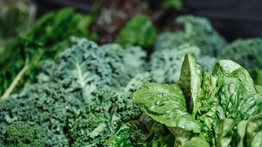 a close up of a bunch of vegetables, dark green leaf hair, hydroponic farms, promo image, slightly pixelated