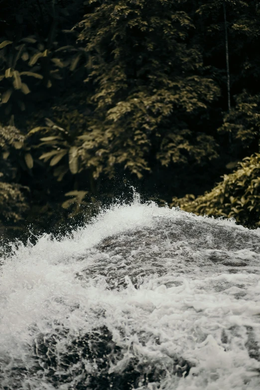 a man riding a wave on top of a surfboard, by Daniel Seghers, trending on unsplash, sumatraism, a river flowing with waterfall, vines overflowing, grainy footage, slide show