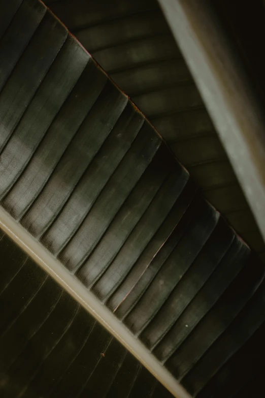 a close up of a banana leaf on a ceiling, inspired by Pierre Soulages, unsplash, wooden stairs, muted browns, rounded roof, grey