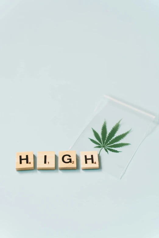 a bag of marijuana sitting on top of a table, a cartoon, inspired by Mary Jane Begin, trending on unsplash, high-definition picture, hgh, high bridges, product introduction photo