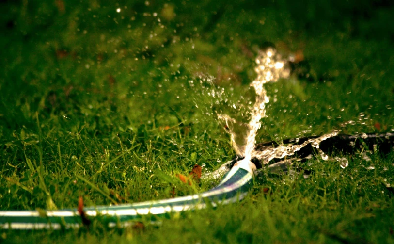 a toothbrush sitting on top of a lush green field, splashing water, broken pipes, water line surface, glittering