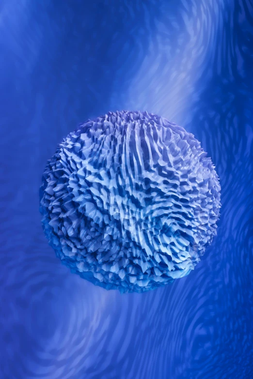 a blue ball floating on top of a body of water, a microscopic photo, by Doug Ohlson, renaissance, made of lab tissue, coxcomb, ilustration, 2022 photograph
