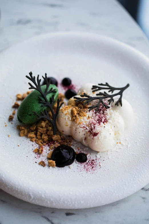 a close up of a plate of food on a table, inspired by Barthélemy Menn, white desert, manuka, dry ice, rich colour