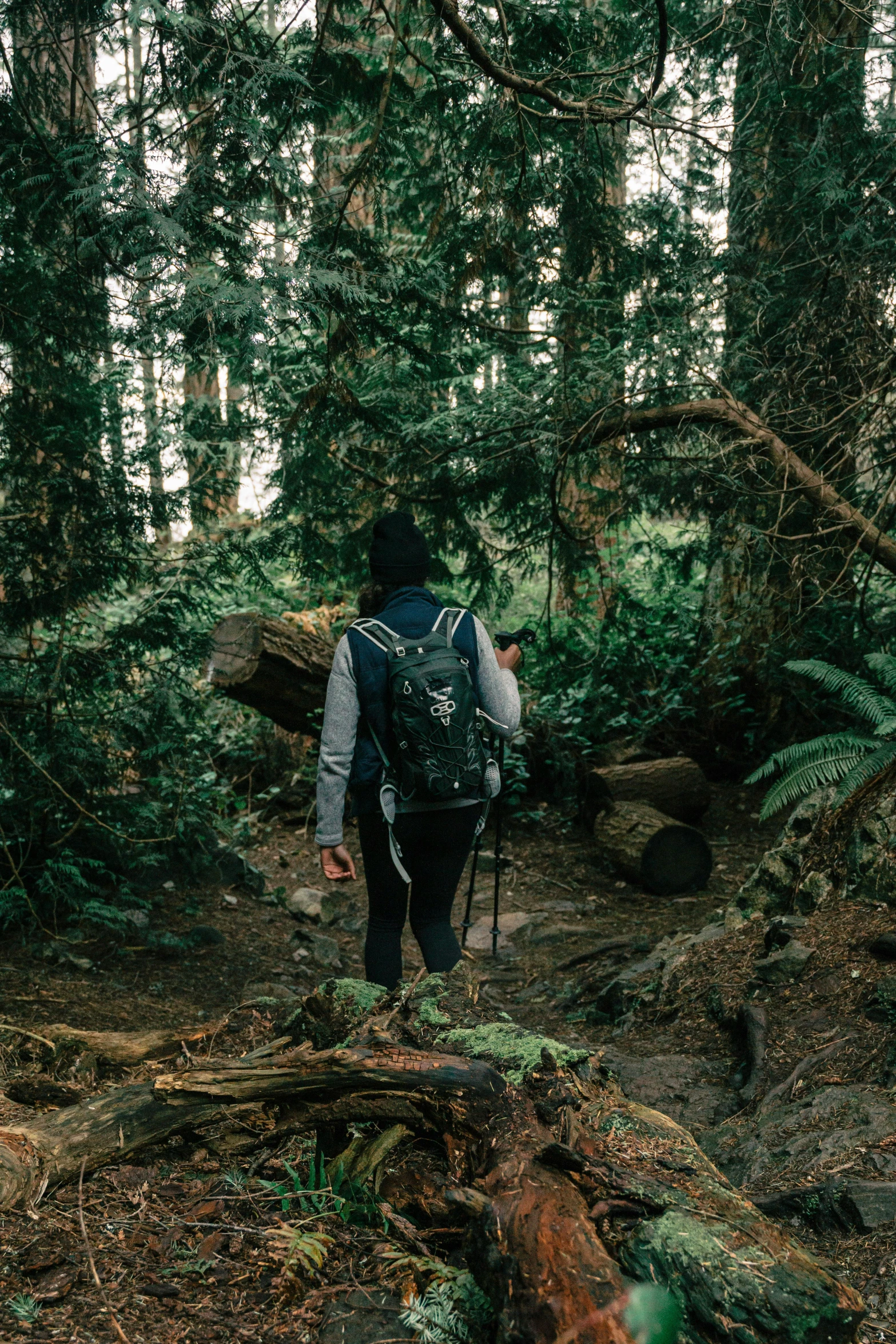 a person with a backpack walking through a forest, inspired by Elsa Bleda, unsplash contest winner, renaissance, pacific northwest, in a jungle environment, humans exploring, looking at the ground