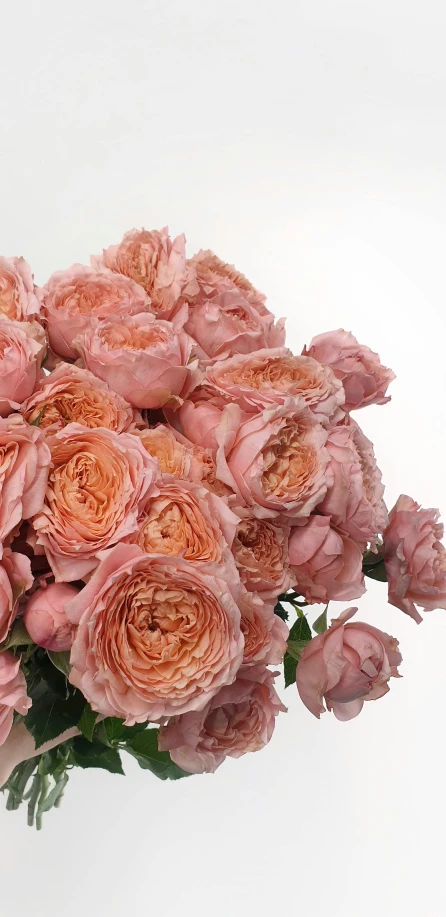 a bouquet of pink roses in a vase, a digital rendering, by Pamela Drew, pexels, romanticism, in shades of peach, over-shoulder shot, close up shot from the side, piled around