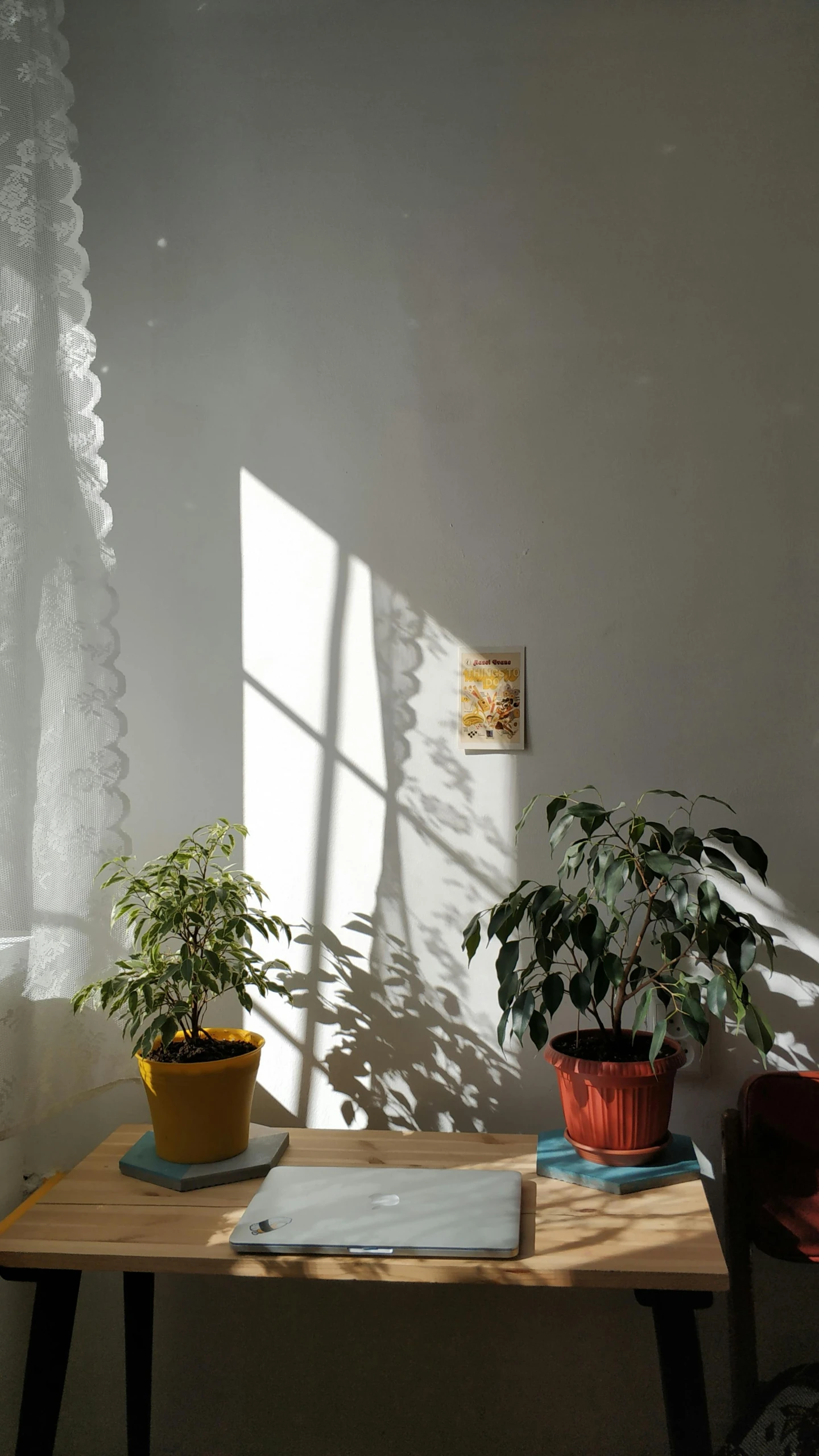 a laptop computer sitting on top of a wooden desk, a still life, inspired by Elsa Bleda, light and space, two suns, interior of a small, a paper cutout garden, long cast shadows