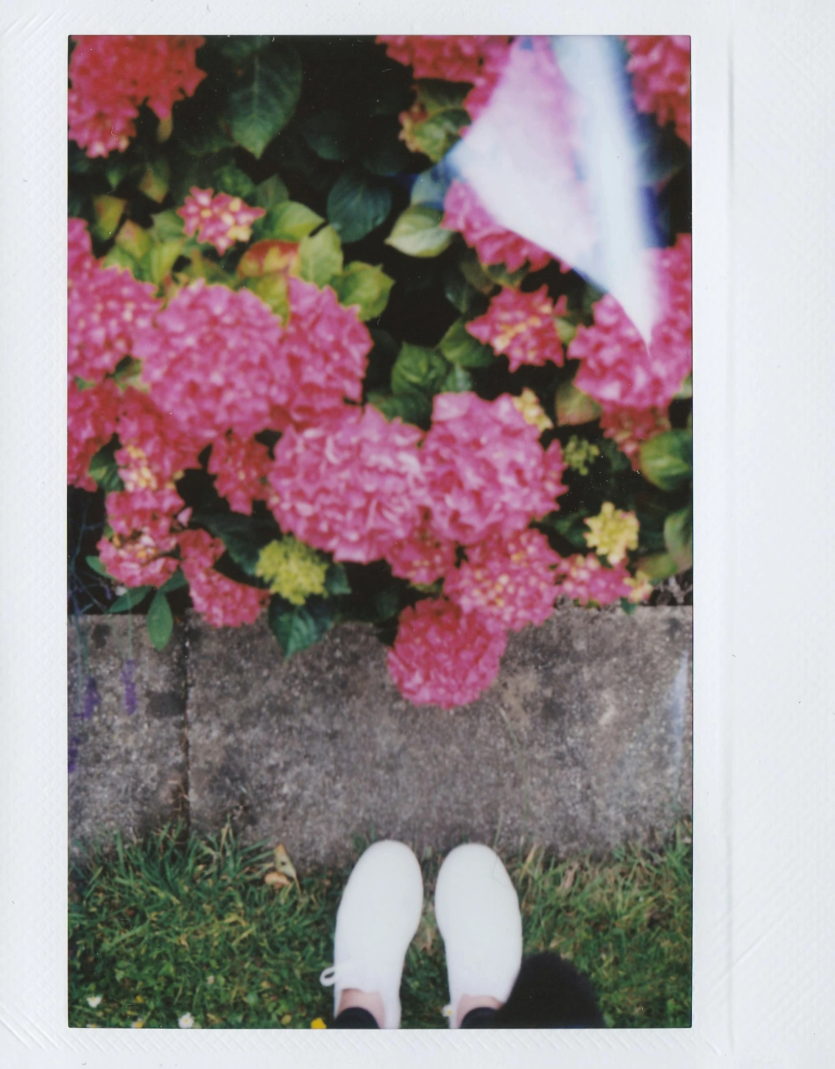 a person standing in front of a bunch of flowers, a polaroid photo, white shoes, outside on the ground, photography], nanae kawahara