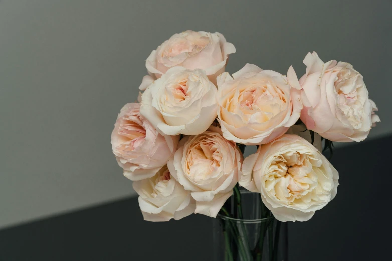 a vase filled with pink roses sitting on a table, zoomed out shot, vanilla, detail shot, full product shot