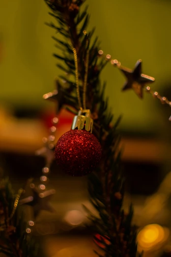 a christmas tree with a red ornament hanging from it, a portrait, by Sebastian Spreng, pexels, happening, evening mood, medium detail, ready to eat, 15081959 21121991 01012000 4k