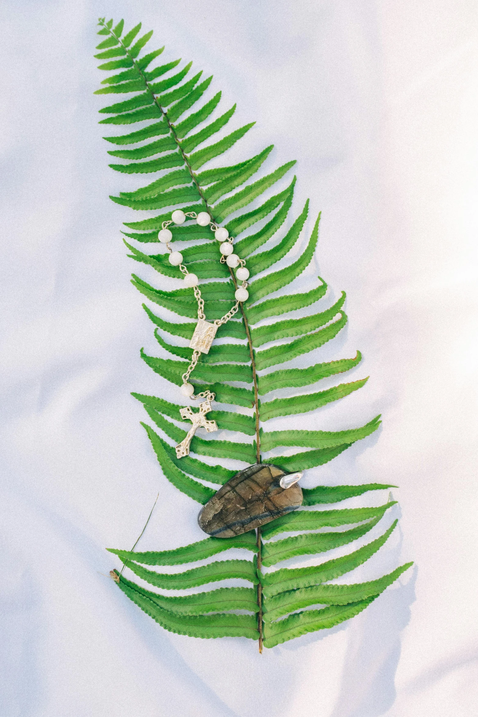 a close up of a fern leaf on a white surface, by Ellen Gallagher, renaissance, pearls and chains, crucifix, a wooden, and