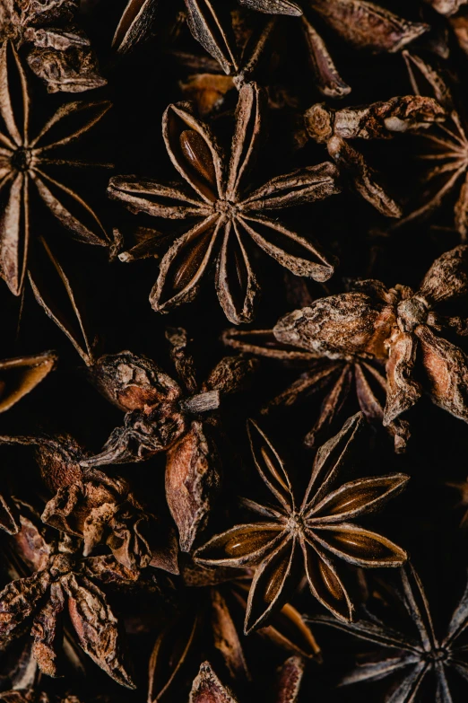 anise star anise star anise star anise star anise star anise star anise star anise star anise star an, a portrait, by Morgan Russell, trending on unsplash, baroque, thumbnail, textural, wine, enhanced quality