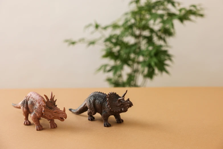 two toy dinosaurs standing next to each other on a table, inspired by Adam Rex, trending on unsplash, brown resin, triceratops, next to a plant, close-up product photo