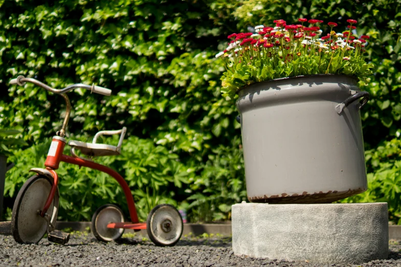 a red tricycle parked next to a potted plant, inspired by Norman Garstin, dribble, grey, in garden, soft grey and red natural light, multi - coloured