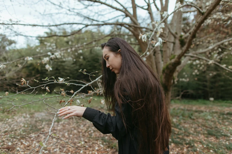 a woman with long brown hair standing next to a tree, pexels contest winner, connection rituals, manuka, black long hair, lightly dressed