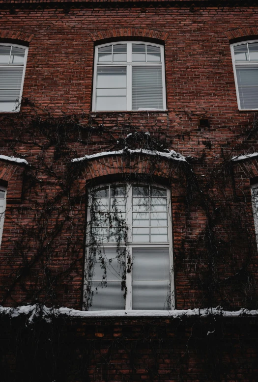 a tall brick building with lots of windows, inspired by Elsa Bleda, pexels contest winner, with black vines, winter snow, withered, window