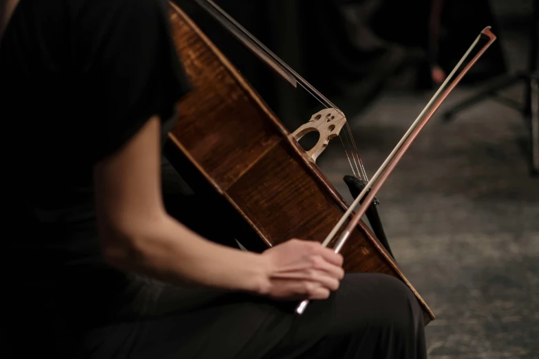 a close up of a person holding a violin, profile image