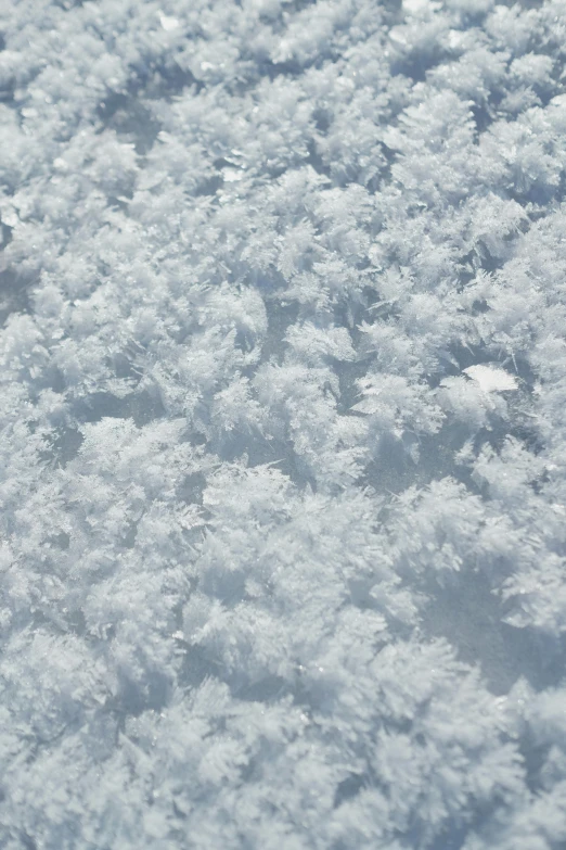 a person riding skis down a snow covered slope, an album cover, inspired by Arthur Burdett Frost, unsplash, close up of single sugar crystal, textured like a carpet, lots of white cotton, ultra - detail