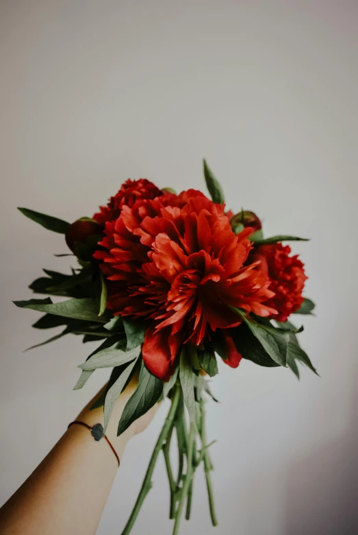 a person holding a bunch of red flowers, by Jessie Algie, unsplash, close - up studio photo, ornate, color”