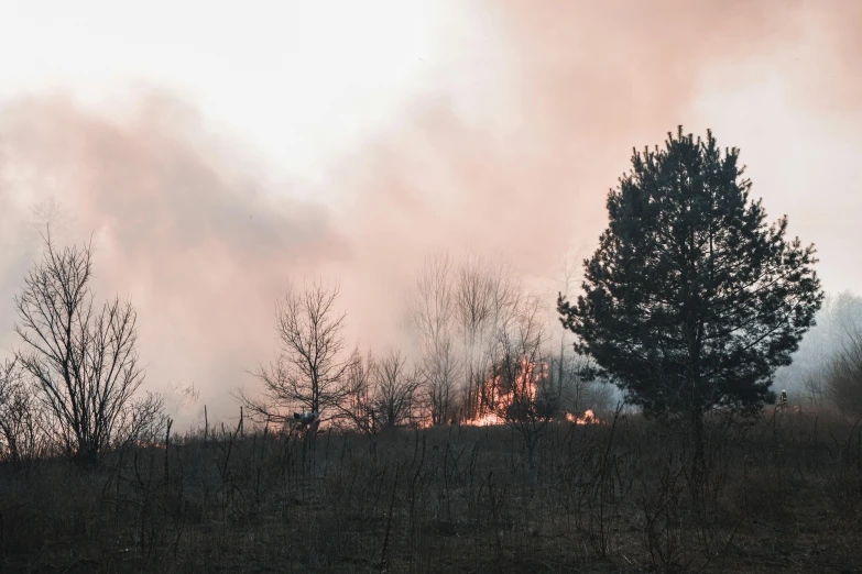 a fire that is in the middle of a field, by Emma Andijewska, pexels contest winner, trees in background, grey forest in the background, pink smoke, low quality footage