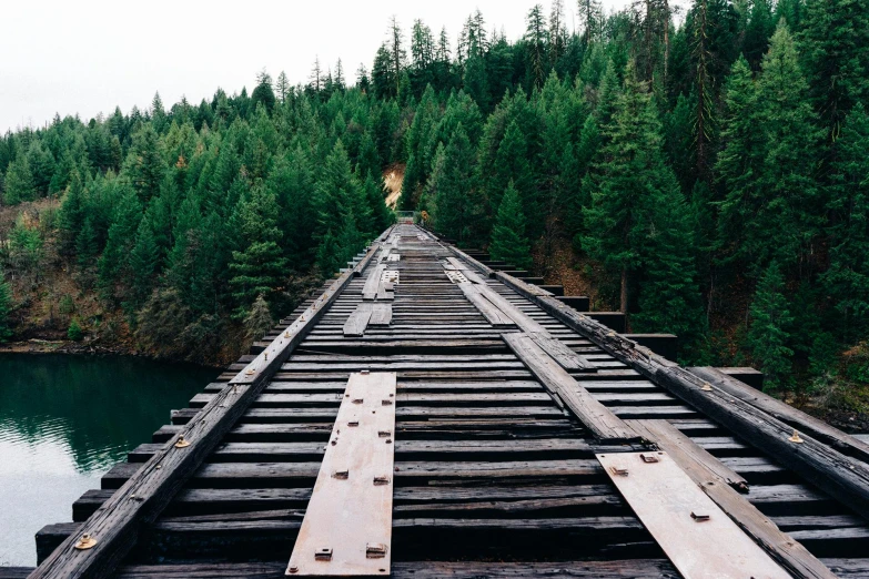 a long wooden bridge over a body of water, an album cover, by Jessie Algie, unsplash, abandoned railroads, pine forests, 2 5 6 x 2 5 6 pixels, british columbia