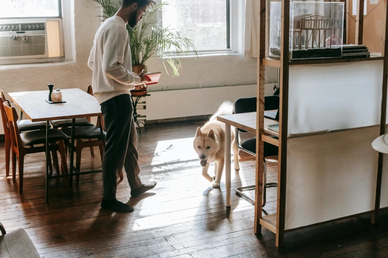 a man standing in a room with a dog, pexels contest winner, working, shibu inu, wooden floors, white table