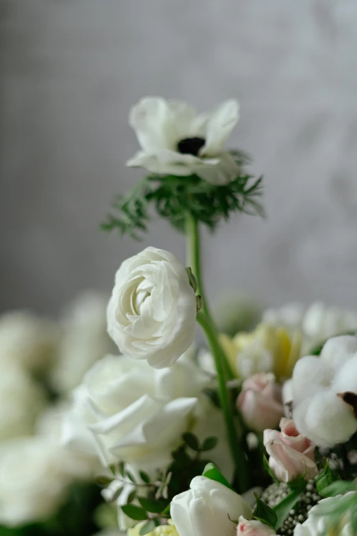 a vase filled with white and pink flowers, inspired by François Boquet, unsplash, anemone, close up details, sleek white, medium close up