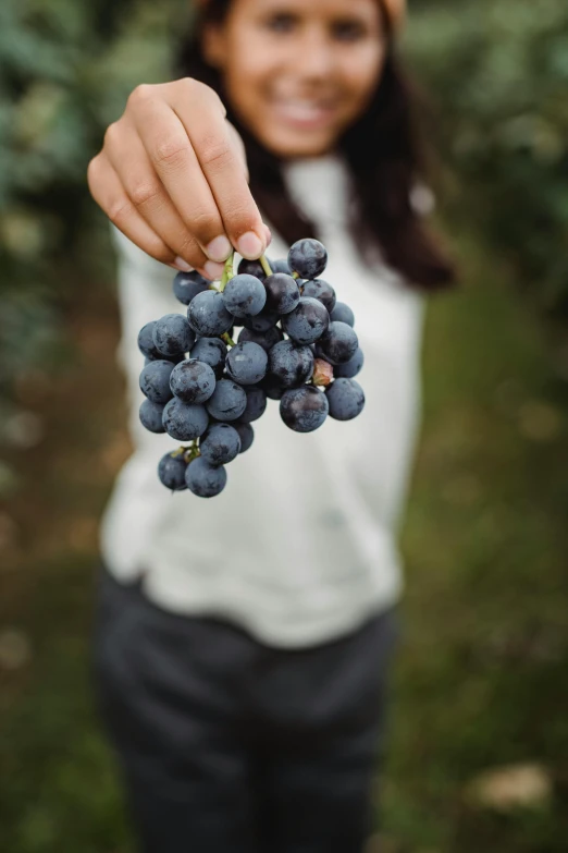 a woman holding a bunch of grapes in her hand, by Niko Henrichon, unsplash, vine covered, indigo, 15081959 21121991 01012000 4k