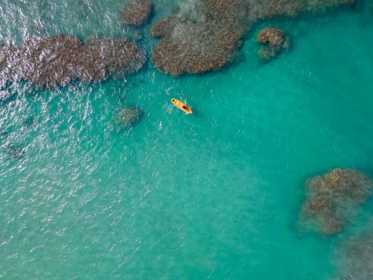 a person in a kayak in the middle of a body of water, pexels contest winner, great barrier reef, chartreuse and orange and cyan, top down, near the beach