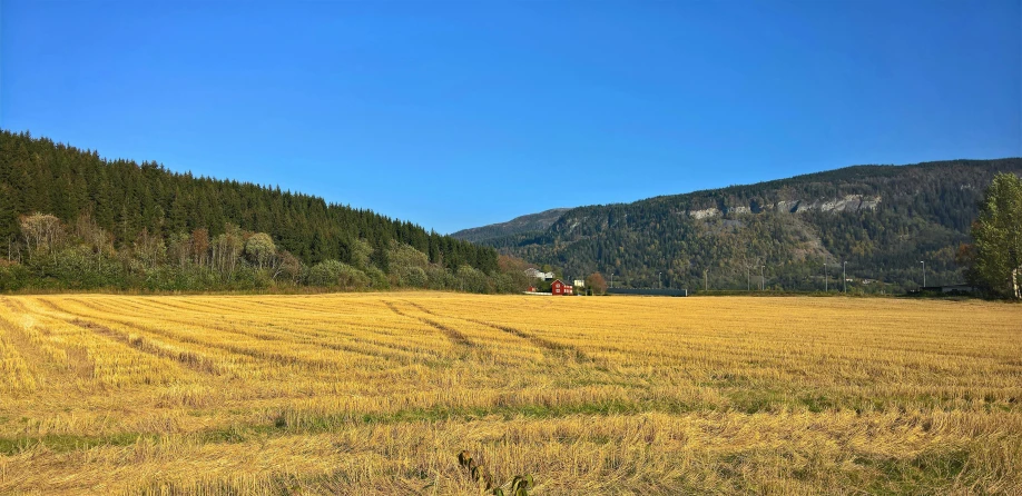 a field of grass with mountains in the background, by Haukur Halldórsson, pexels, color field, next to farm fields and trees, mowing of the hay, ultramarine blue and gold, sweden