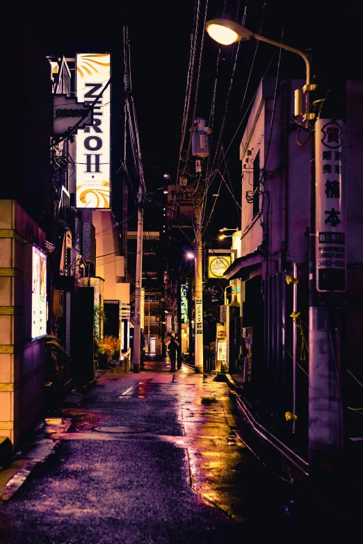 a wet street in an asian city at night, unsplash contest winner, ukiyo-e, purple dim light, shady alleys, narrow, canvas