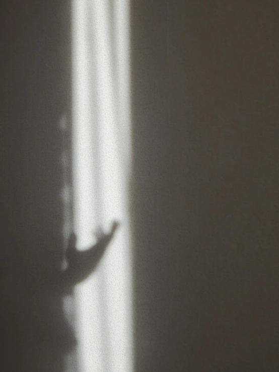 a shadow of a person standing in front of a window, by Roy DeCarava, pexels contest winner, light and space, arms stretched out, some sun light ray, emerging from her lamp, medium format. soft light