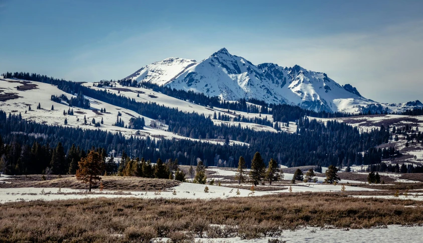 a snow covered mountain in the distance with trees in the foreground, by Arnie Swekel, pexels contest winner, idaho, slide show, mongol, wide