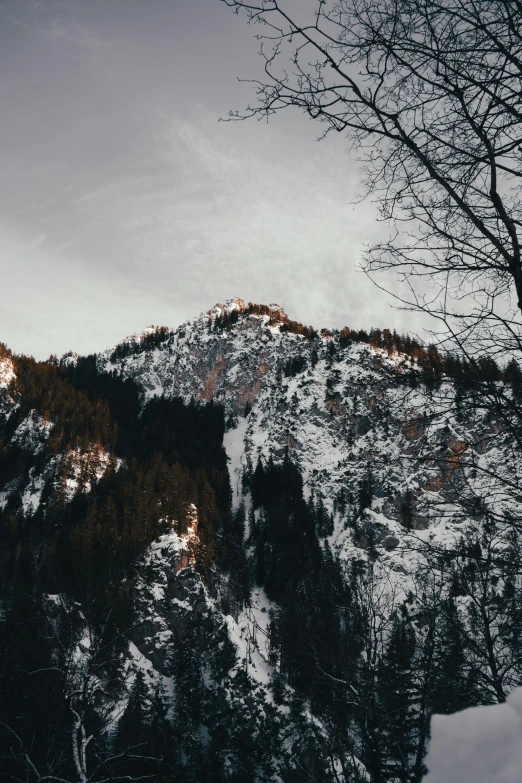 a person standing on top of a snow covered mountain, dark pine trees, cliff side at dusk, seen from a distance, today\'s featured photograph 4k