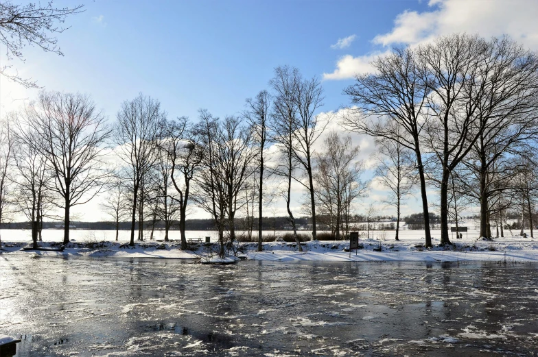 a group of trees that are standing in the snow, a picture, by Jaakko Mattila, pexels contest winner, hurufiyya, a photo of a lake on a sunny day, made of ice, thumbnail, urban surroundings