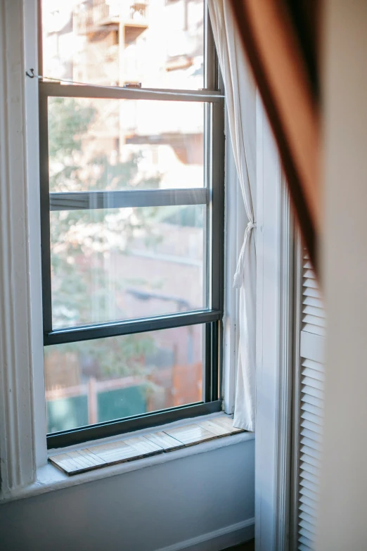 a cat sitting on a window sill in front of a window, by Nina Hamnett, unsplash, lush brooklyn urban landscaping, a sunny bedroom, steel window mullions, side view close up of a gaunt