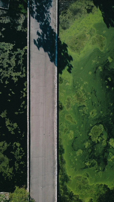 an aerial view of a road surrounded by trees, by Attila Meszlenyi, unsplash contest winner, conceptual art, overgrown with aquatic plants, gradient from green to black, near a jetty, 15081959 21121991 01012000 4k