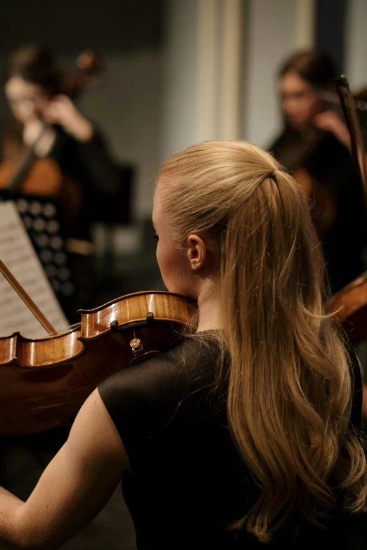 a woman in a black dress playing a violin, pexels contest winner, center of picture, norway, from back, recital