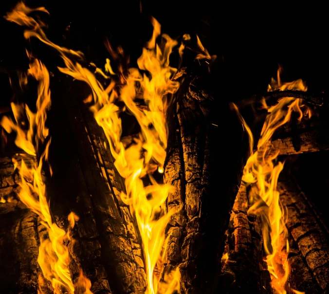 a fire that is burning in the dark, pexels, visual art, avatar image, fan favorite, print ready, fireflys