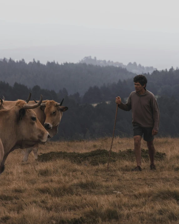 a man standing on top of a grass covered field, cows, cinematic movie photograph, brown, lgbtq