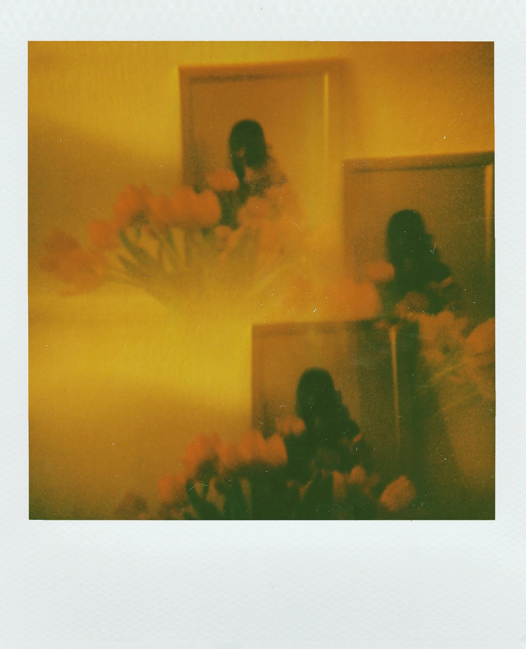 a person taking a picture of a bunch of flowers, a polaroid photo, inspired by Elsa Bleda, yellow aura, scanned, basia tran, abstract people in frame