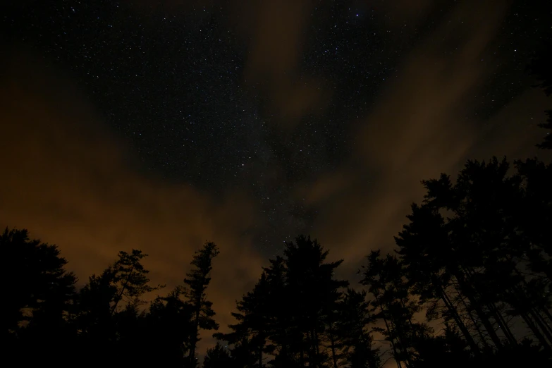 a night sky filled with lots of stars, by Robert Storm Petersen, pexels contest winner, dark pine trees, brown, cloudy night, planets and stars