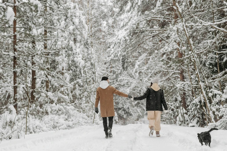 a man and a woman walking a dog in the snow, pexels contest winner, snowing in the forest, lgbtq, holding each other hands, thumbnail