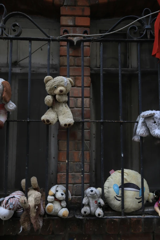 a bunch of stuffed animals sitting on a window sill, graffiti, reuters, buenos aires, slide show, behind bars