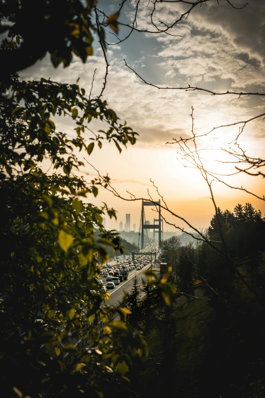 a view of a bridge from the top of a hill, by Sebastian Spreng, heavy traffic, low quality photo, sunset, over the tree tops