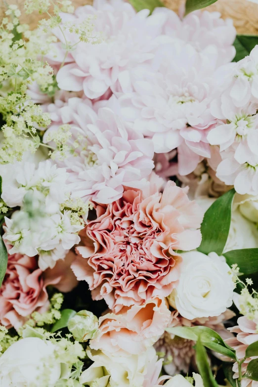 a close up of a bouquet of flowers, soft blush, carefully crafted, flowy, entertaining