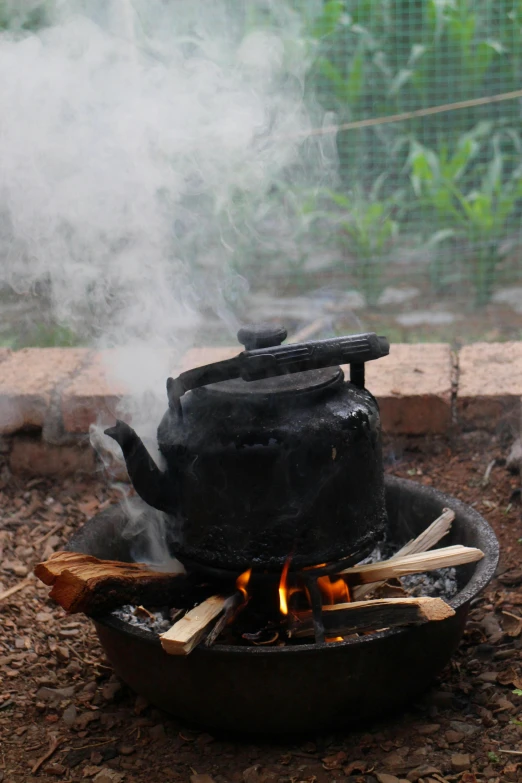a kettle sitting on top of an open fire, environmental art, misting, assam tea garden setting, dry ice, “ iron bark